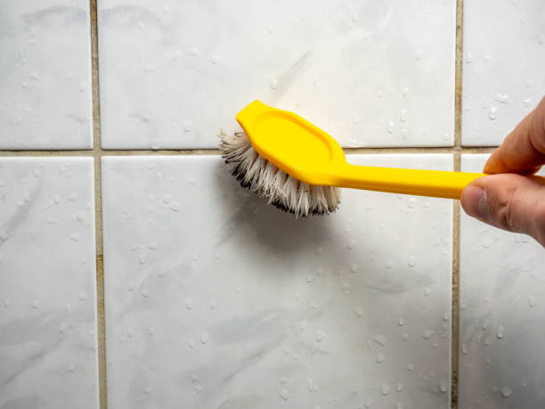 Best Home Mold Removal  in Medicine Lodge, KS