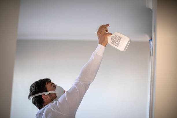 Best Best Mold Removal Companies  in Medicine Lodge, KS