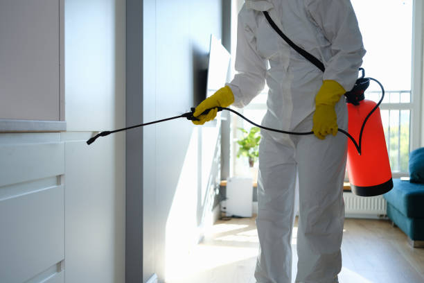 Best Commercial Mold Removal  in Medicine Lodge, KS