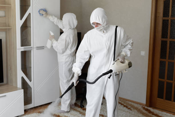 Best Emergency Mold Removal  in Medicine Lodge, KS