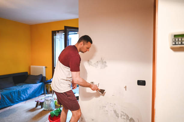 Office Mold Removal Services in Medicine Lodge, KS